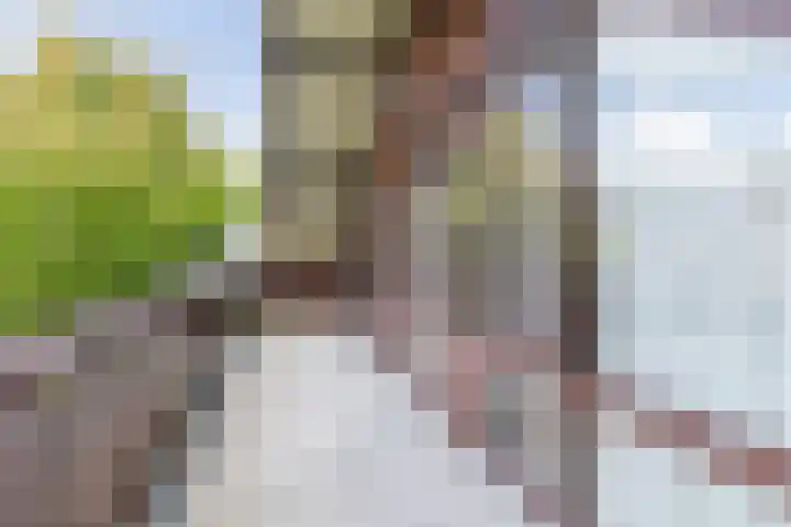 Libel 12 Leusden thumbnail 37