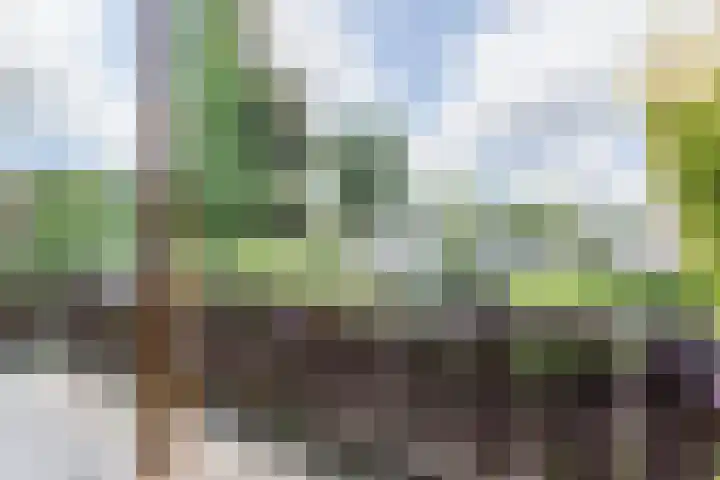 Libel 12 Leusden thumbnail 38
