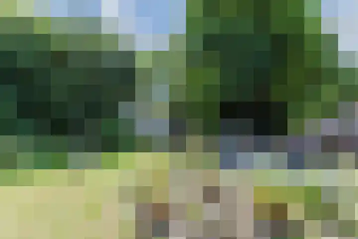 Libel 12 Leusden thumbnail 4