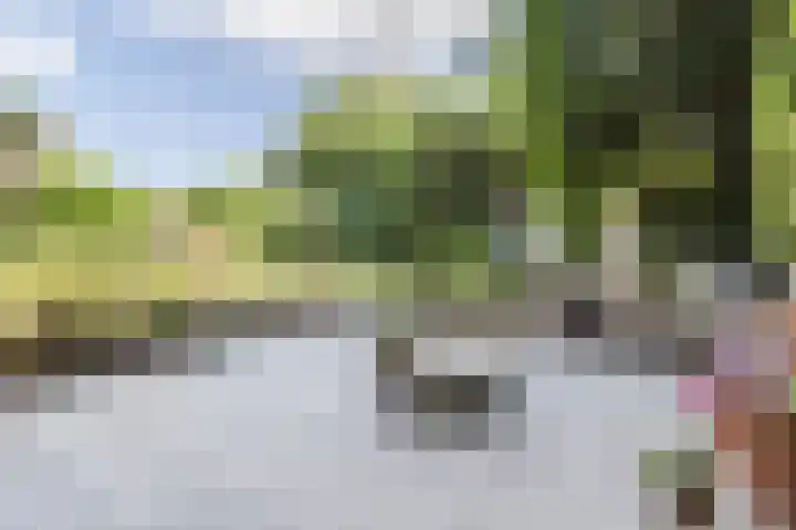 Libel 12 Leusden thumbnail 40