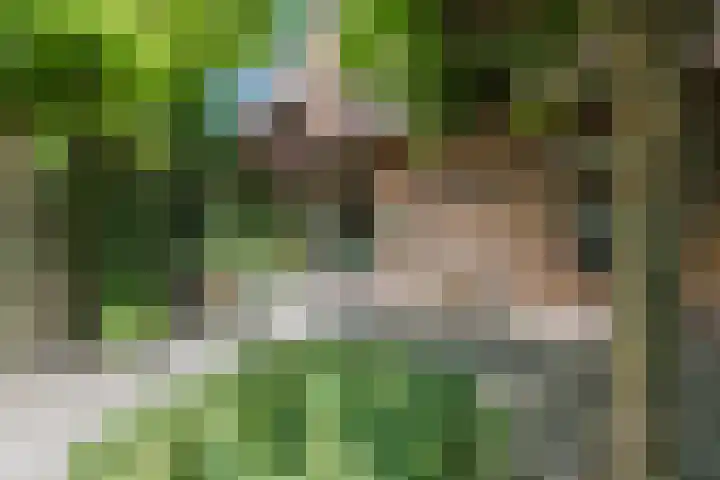 Libel 12 Leusden thumbnail 42