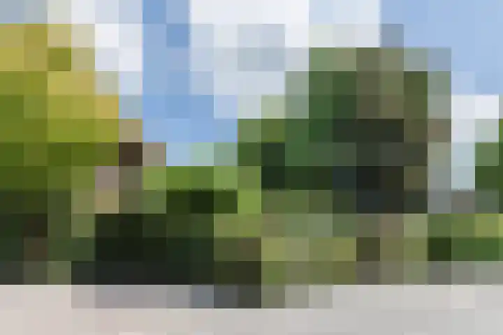 Libel 12 Leusden thumbnail 44