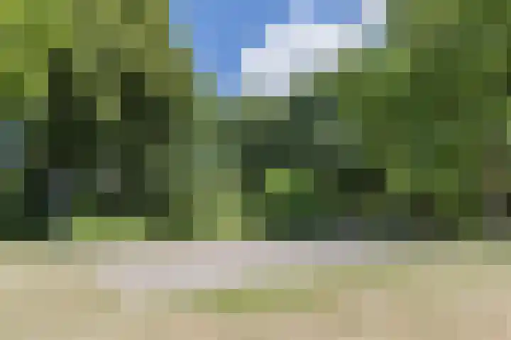 Libel 12 Leusden thumbnail 45