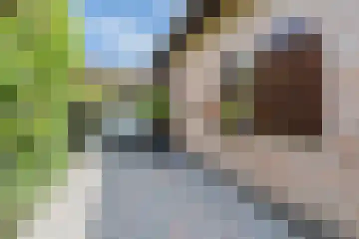Libel 12 Leusden thumbnail 5