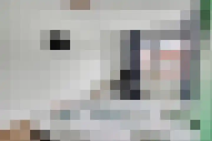 Libel 22 Veldhoven thumbnail 18