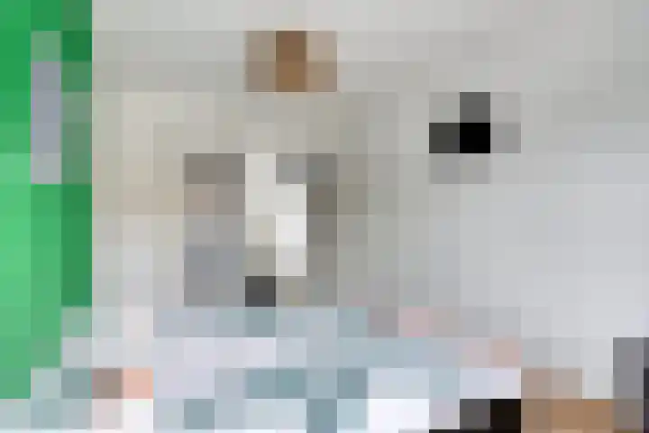 Libel 22 Veldhoven thumbnail 19