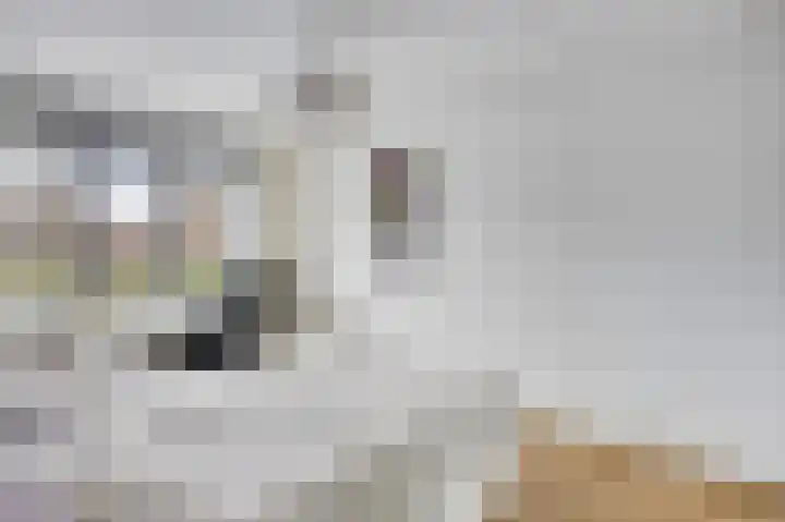 Libel 22 Veldhoven thumbnail 20