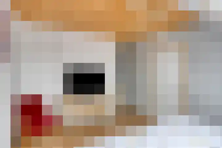 Libel 22 Veldhoven thumbnail 23