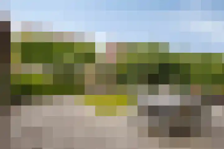 Libel 22 Veldhoven thumbnail 28