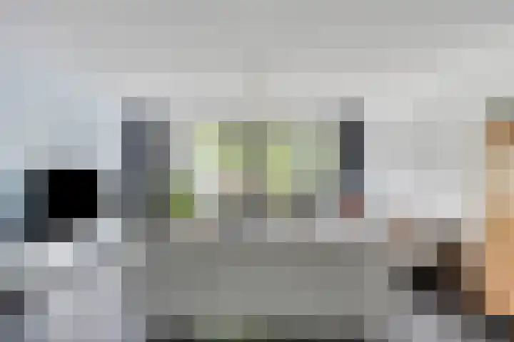 Libel 22 Veldhoven thumbnail 9