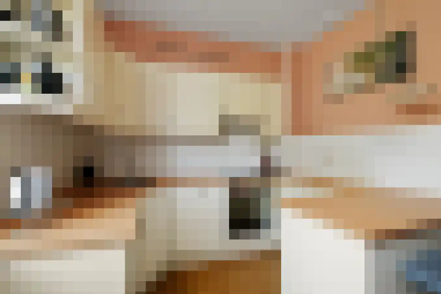 Libel 26 Deventer thumbnail 11