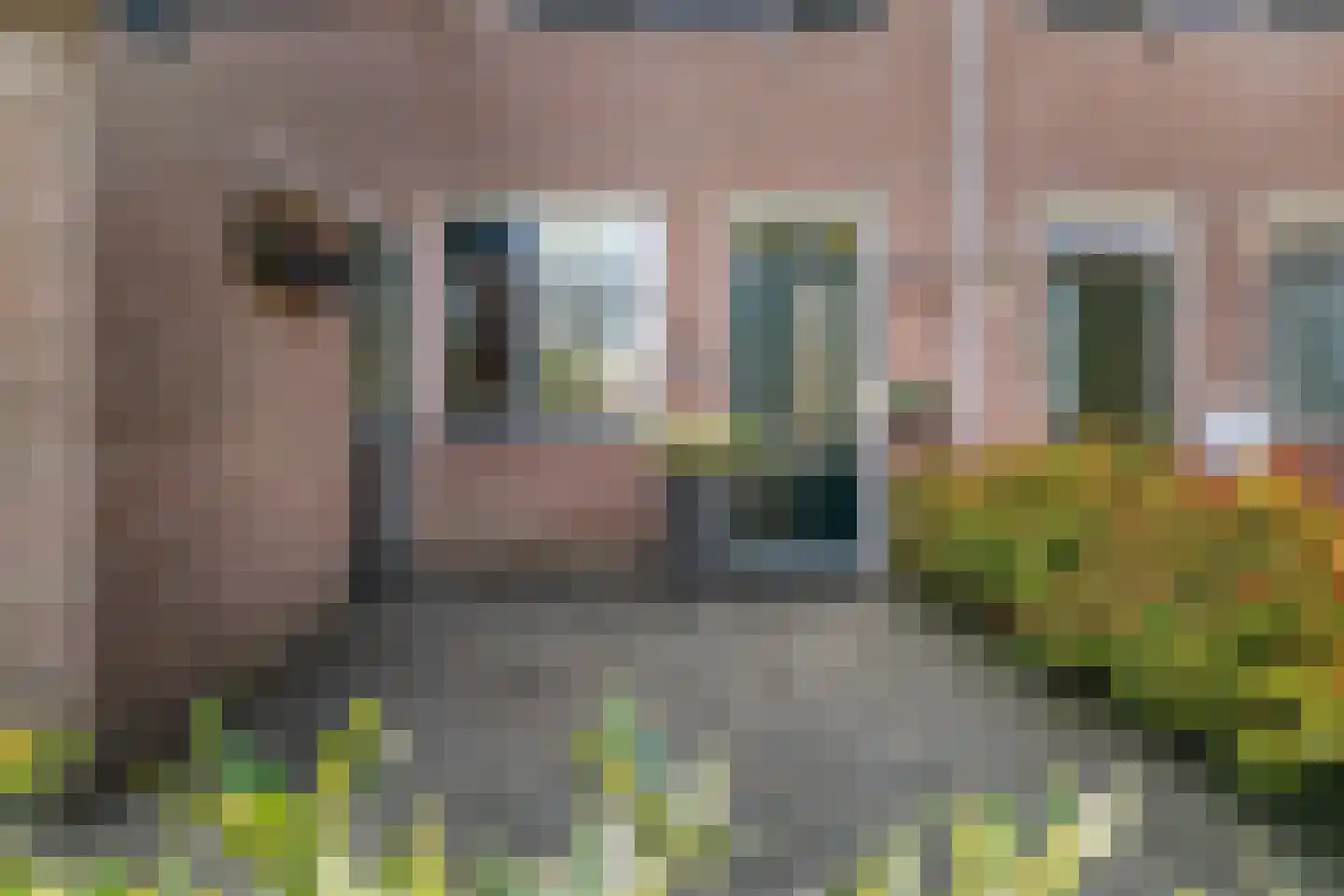 Libel 26 Deventer thumbnail 31