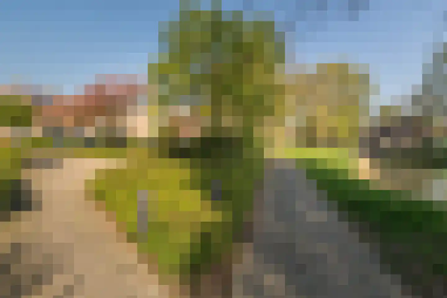 Libel 26 Deventer thumbnail 35