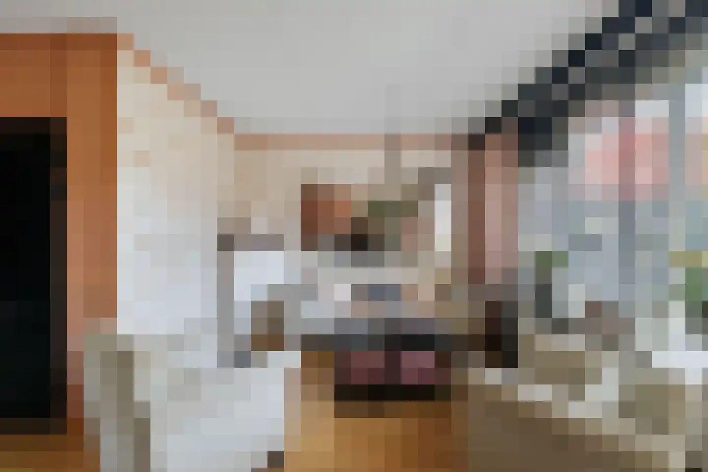 Libel 26 Deventer thumbnail 4