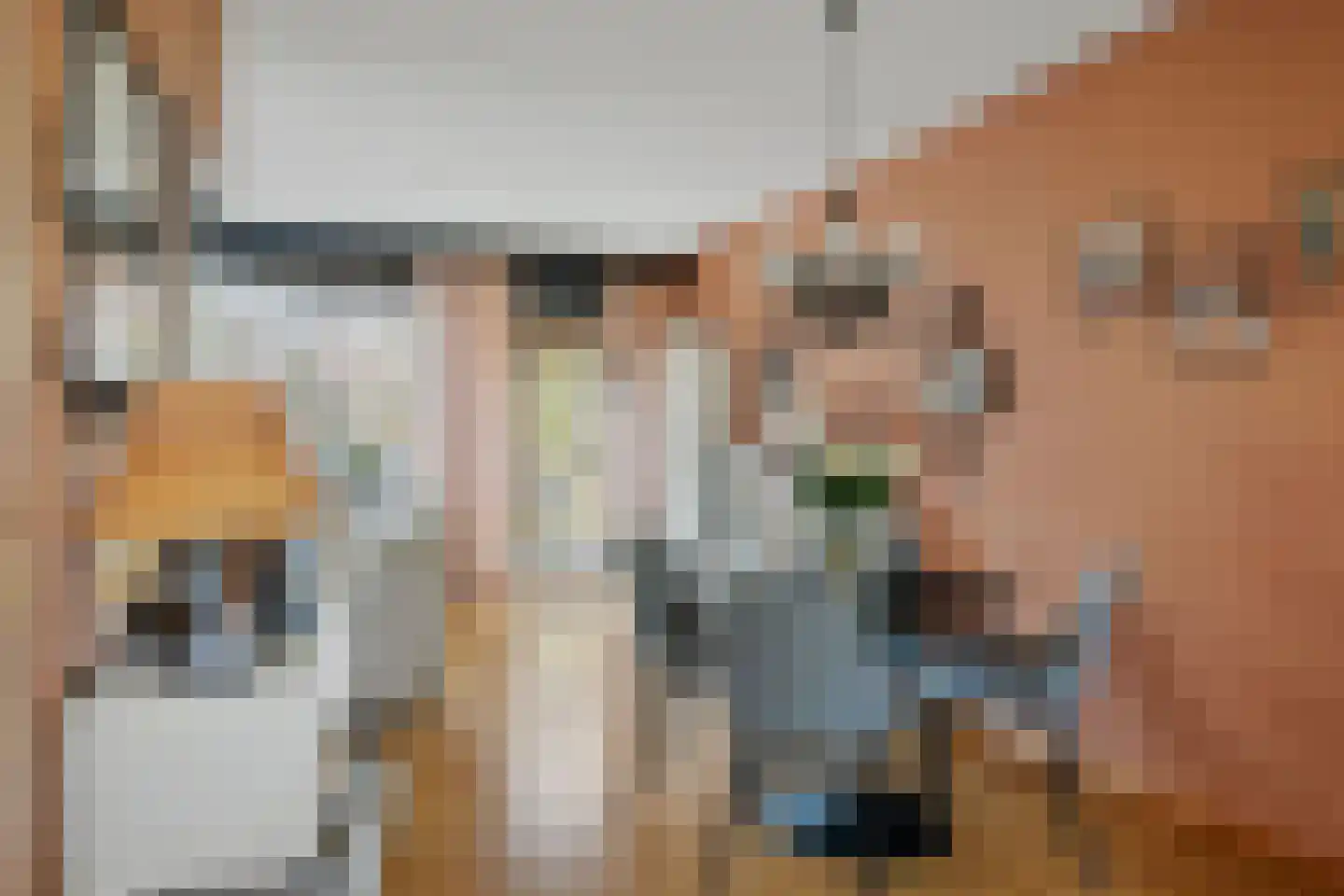 Libel 26 Deventer thumbnail 9