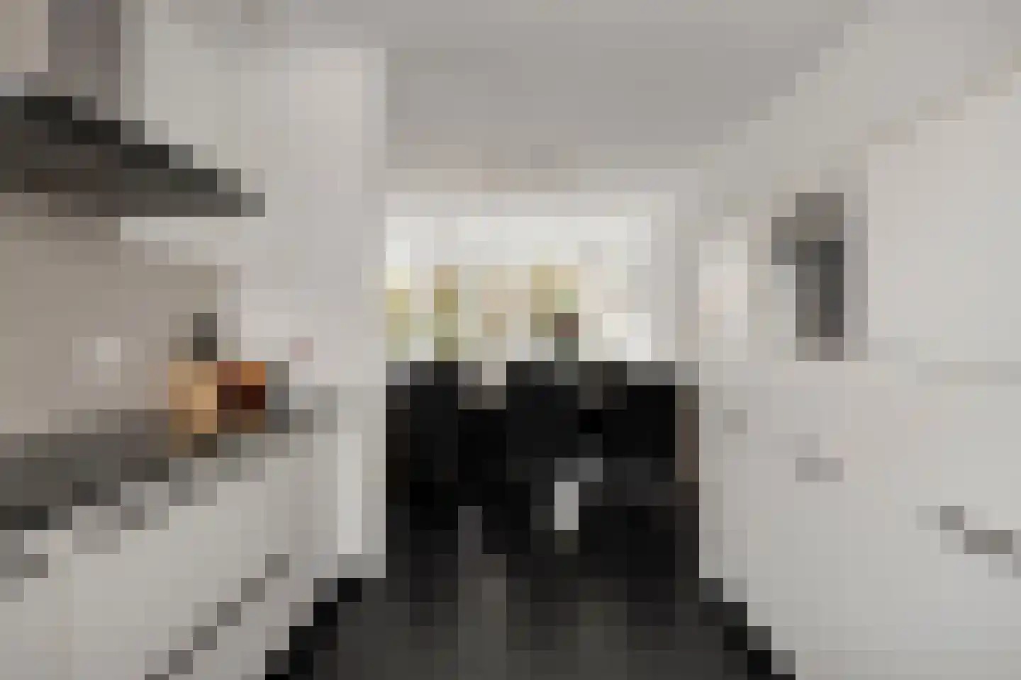 Libel 26 Veldhoven thumbnail 16
