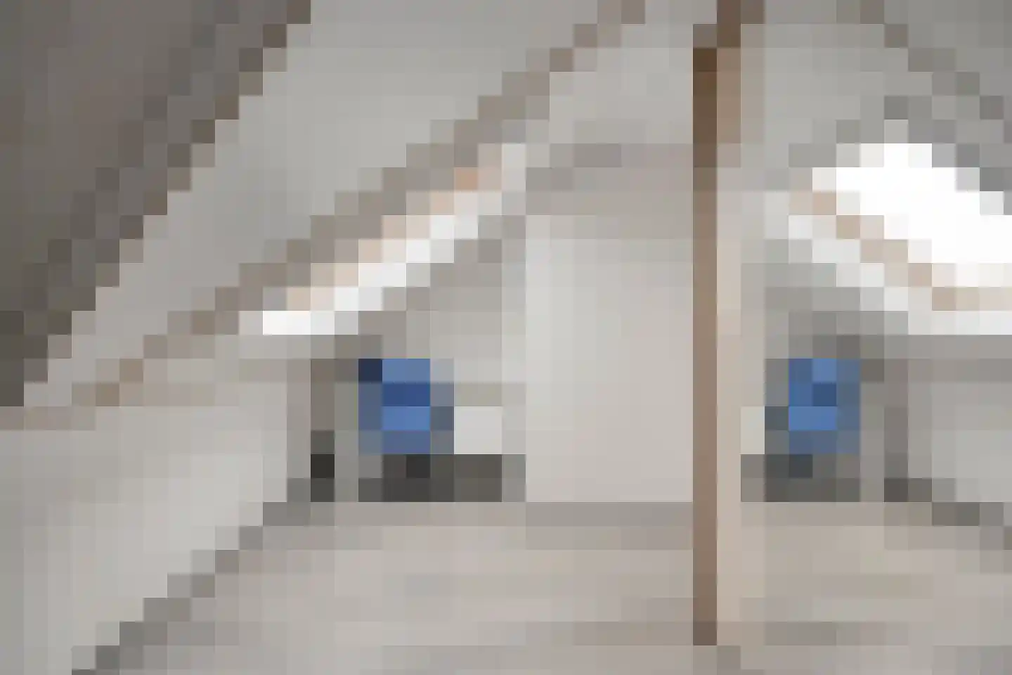 Libel 26 Veldhoven thumbnail 29