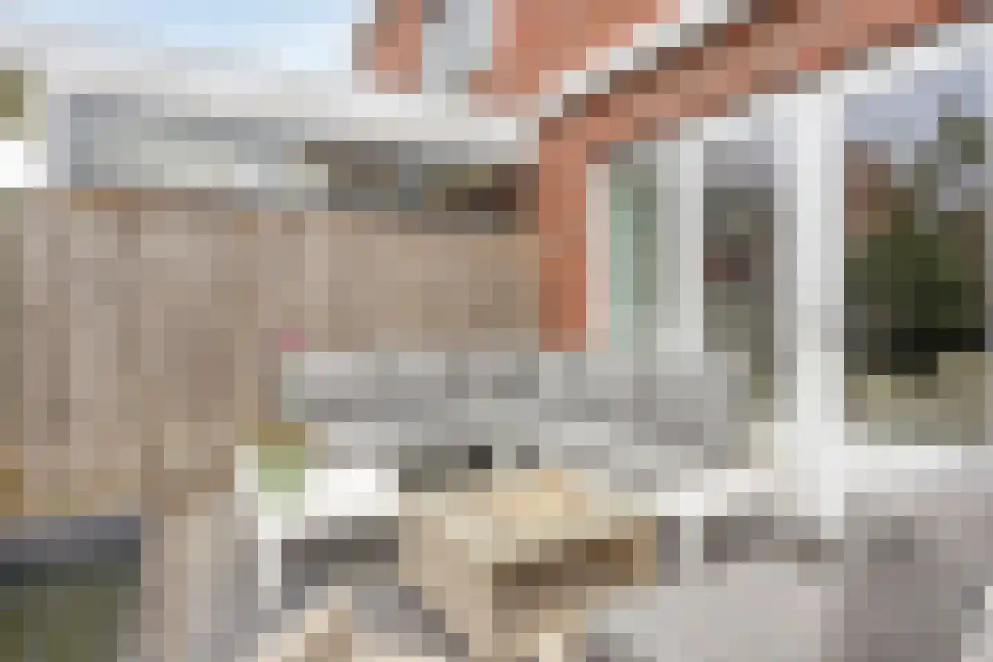 Libel 26 Veldhoven thumbnail 34