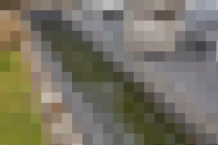 Libel 26 Veldhoven thumbnail 35