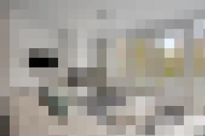 Libel 26 Veldhoven thumbnail 8