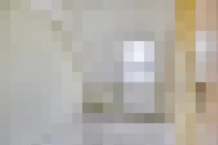 Libel 31 Deventer thumbnail 15