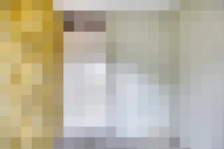 Libel 31 Deventer thumbnail 16