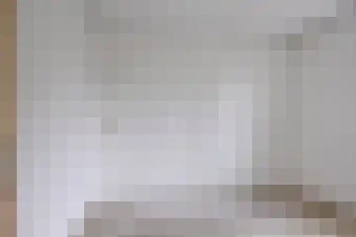 Libel 31 Deventer thumbnail 18