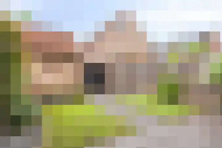 Libel 31 Deventer thumbnail 23