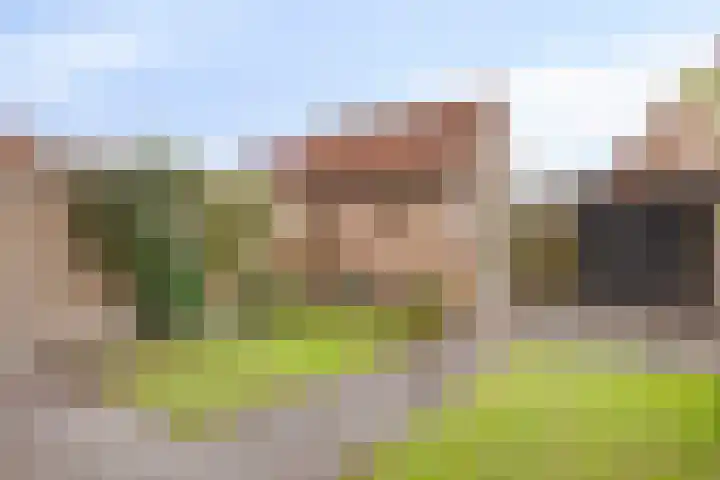 Libel 31 Deventer thumbnail 24