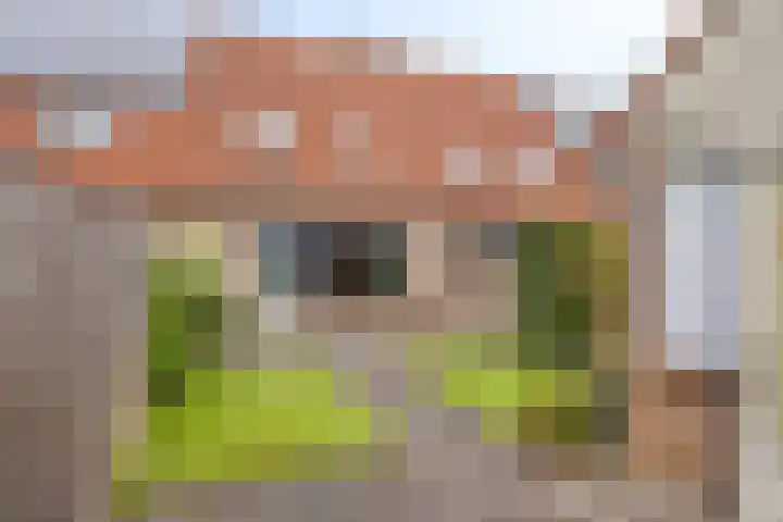 Libel 31 Deventer thumbnail 27