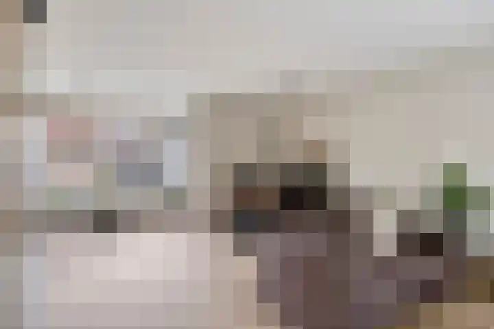 Libel 31 Deventer thumbnail 4