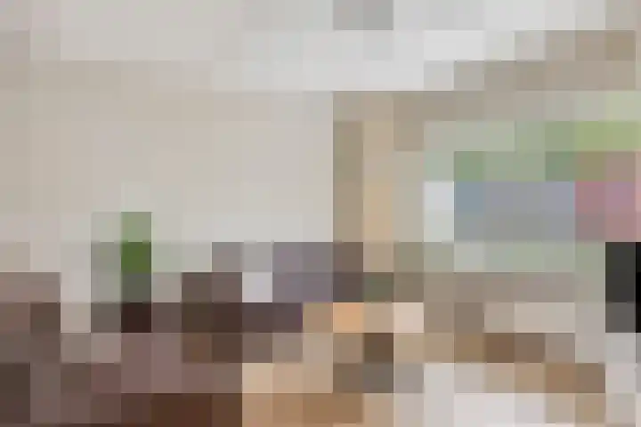 Libel 31 Deventer thumbnail 9