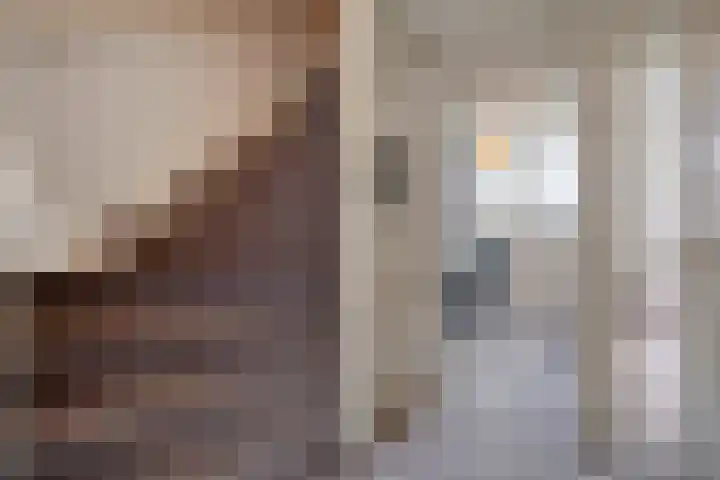Libel 34 Soest thumbnail 13