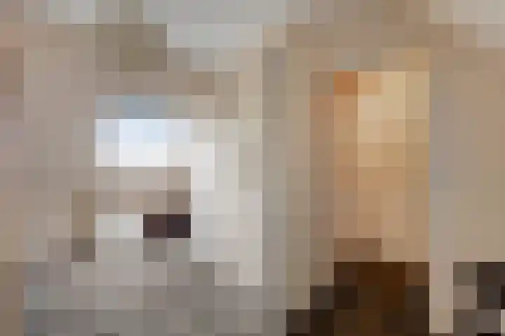 Libel 34 Soest thumbnail 22