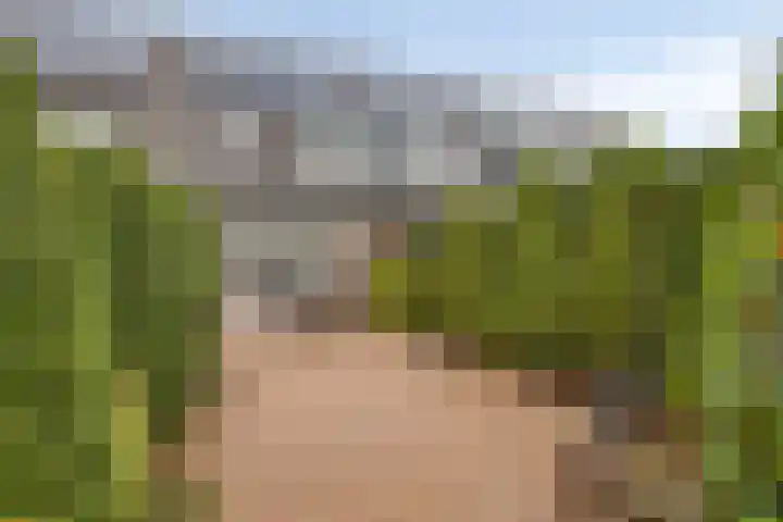 Libel 34 Soest thumbnail 26
