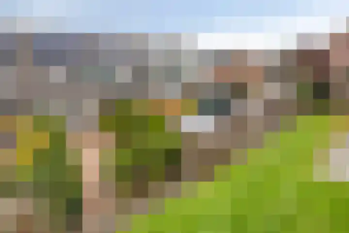 Libel 34 Soest thumbnail 27