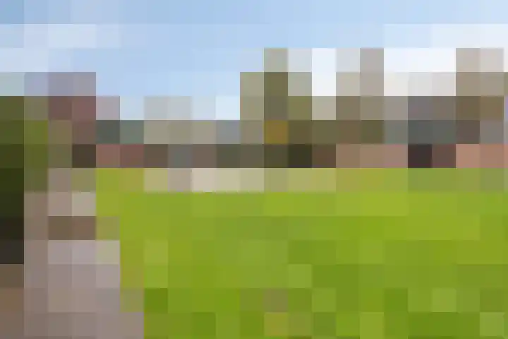 Libel 34 Soest thumbnail 28