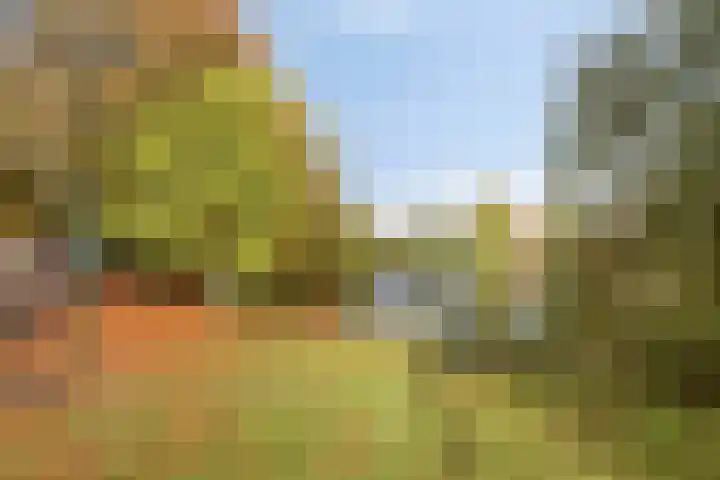 Libel 34 Soest thumbnail 29