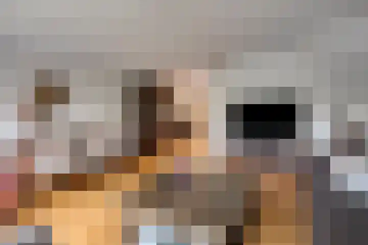 Libel 34 Soest thumbnail 4