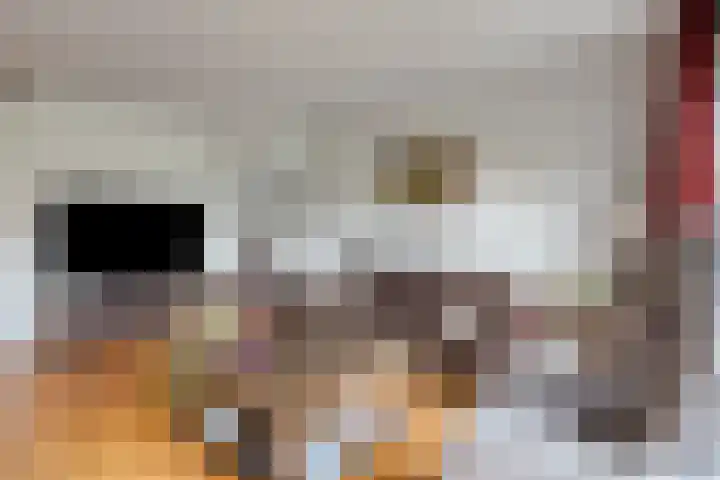 Libel 34 Soest thumbnail 6
