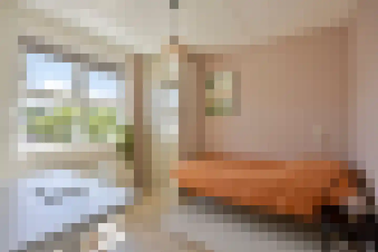 Libelkleuven 15 Assen thumbnail 20