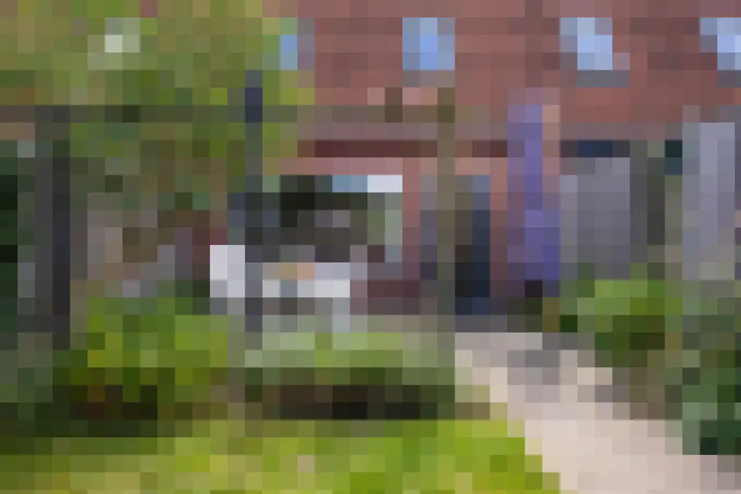 Libelkleuven 15 Assen thumbnail 34