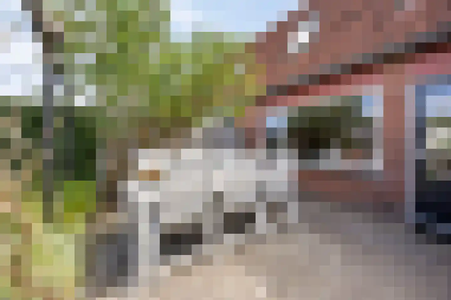 Libelkleuven 15 Assen thumbnail 35