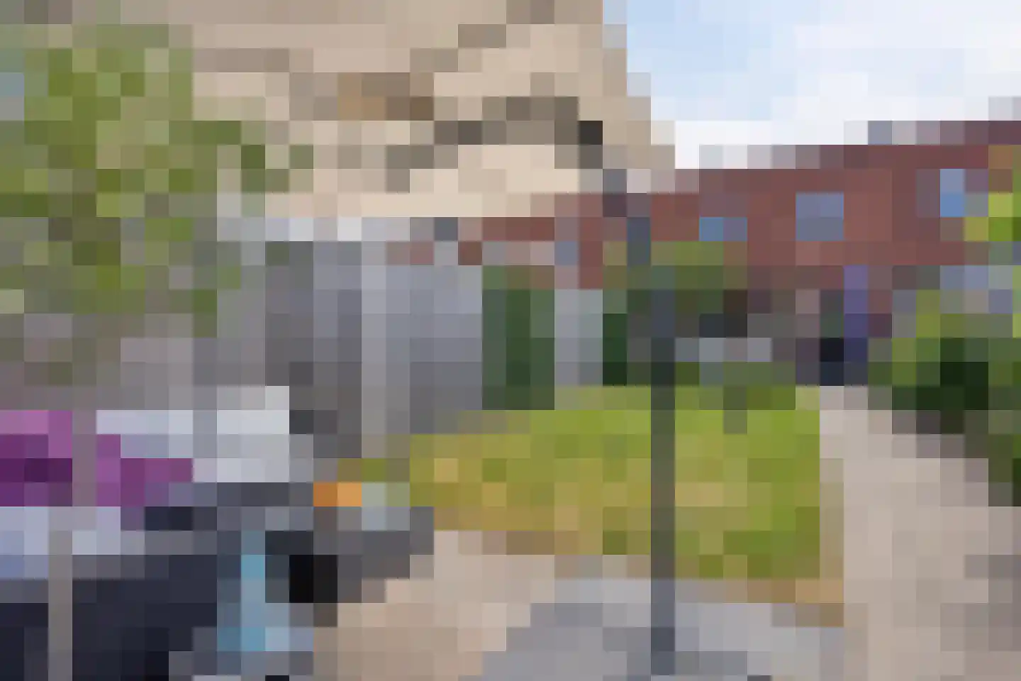Libelkleuven 15 Assen thumbnail 39