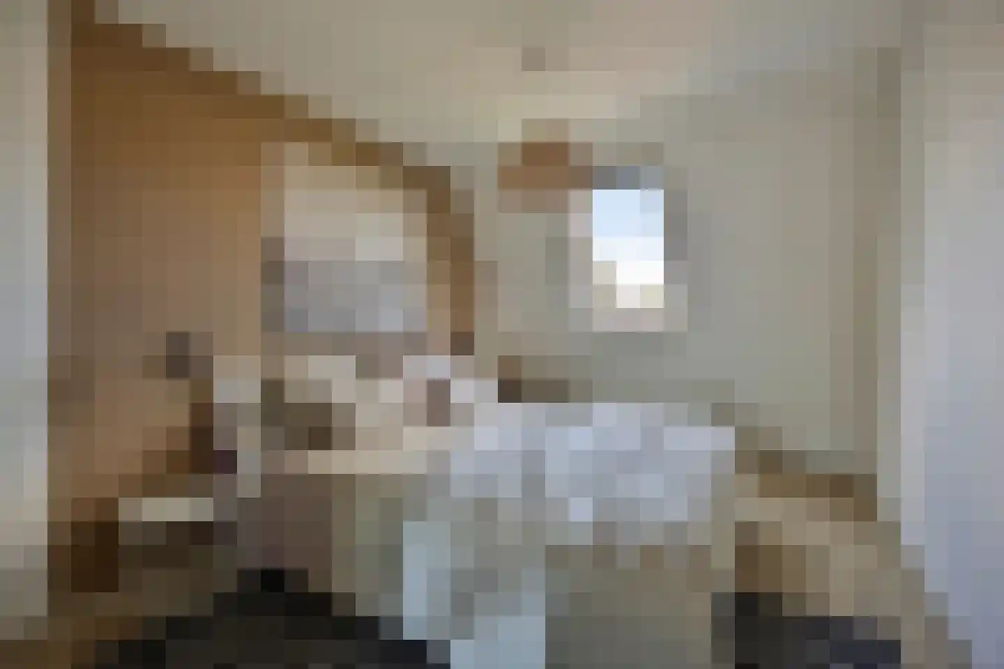 Libelkleuven 15 Assen thumbnail 4