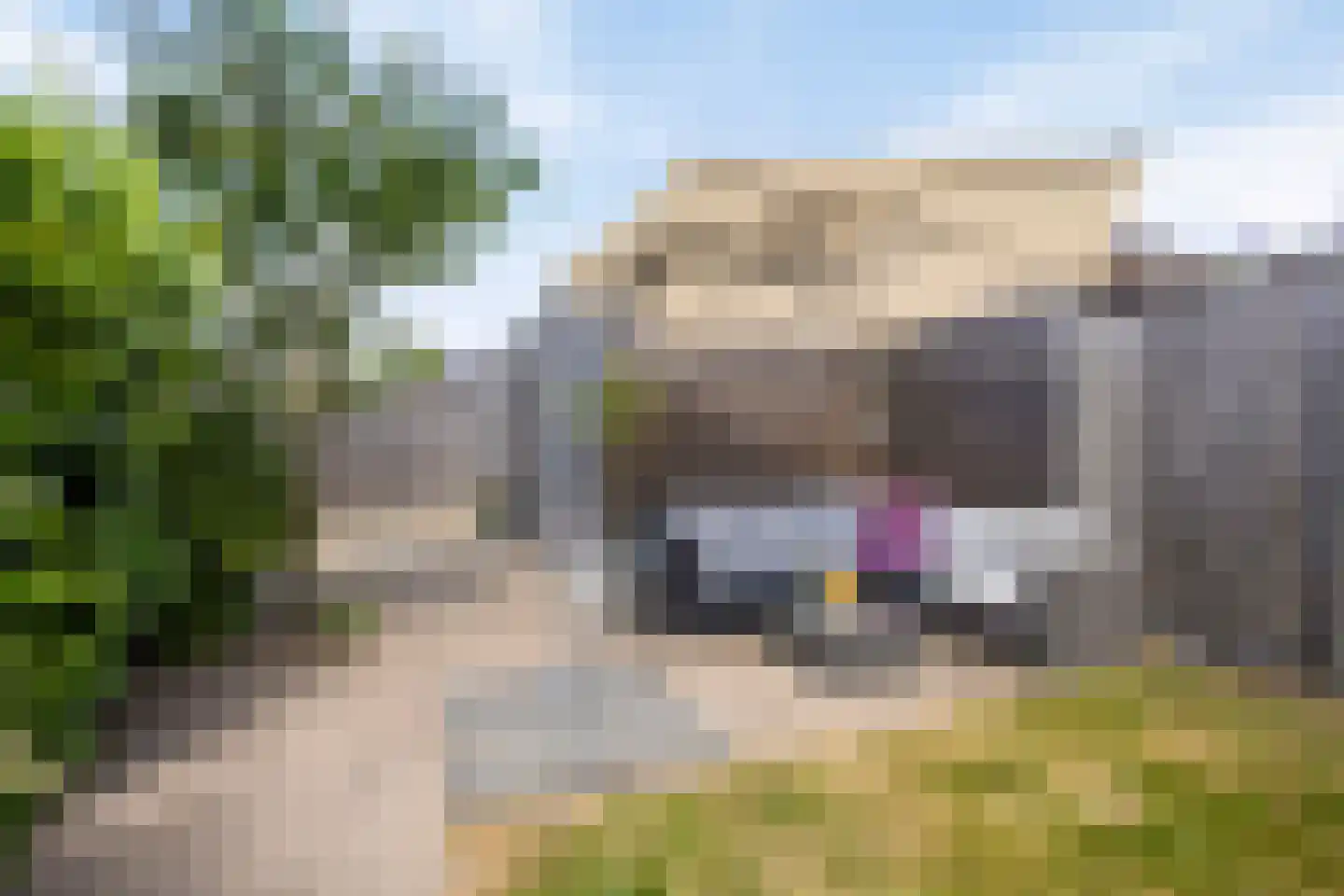 Libelkleuven 15 Assen thumbnail 40