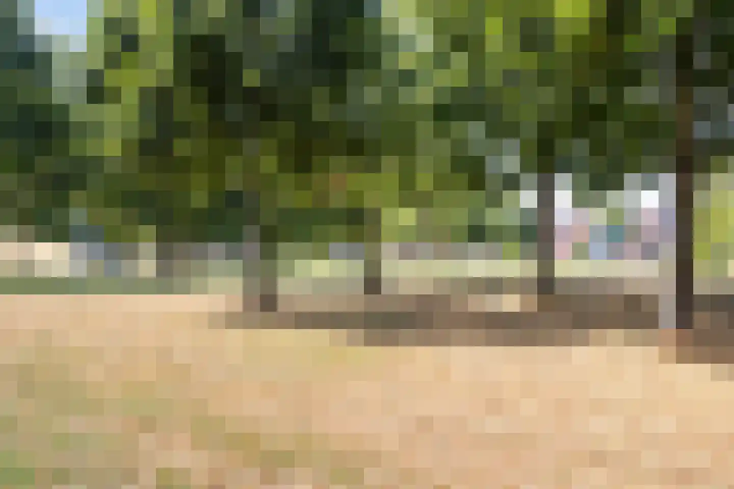 Libelkleuven 15 Assen thumbnail 47