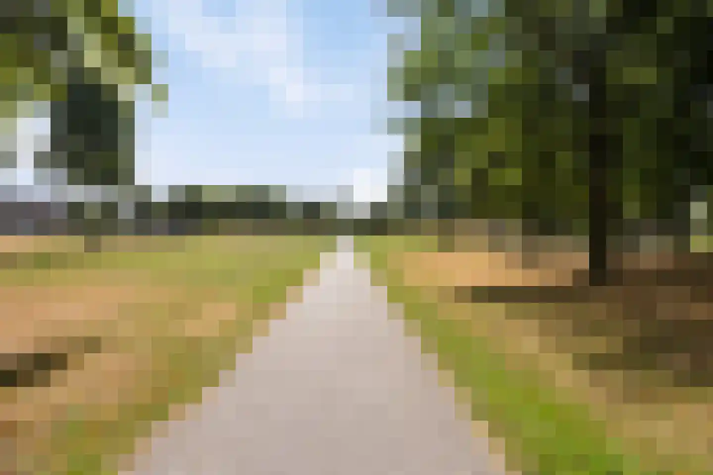 Libelkleuven 15 Assen thumbnail 48