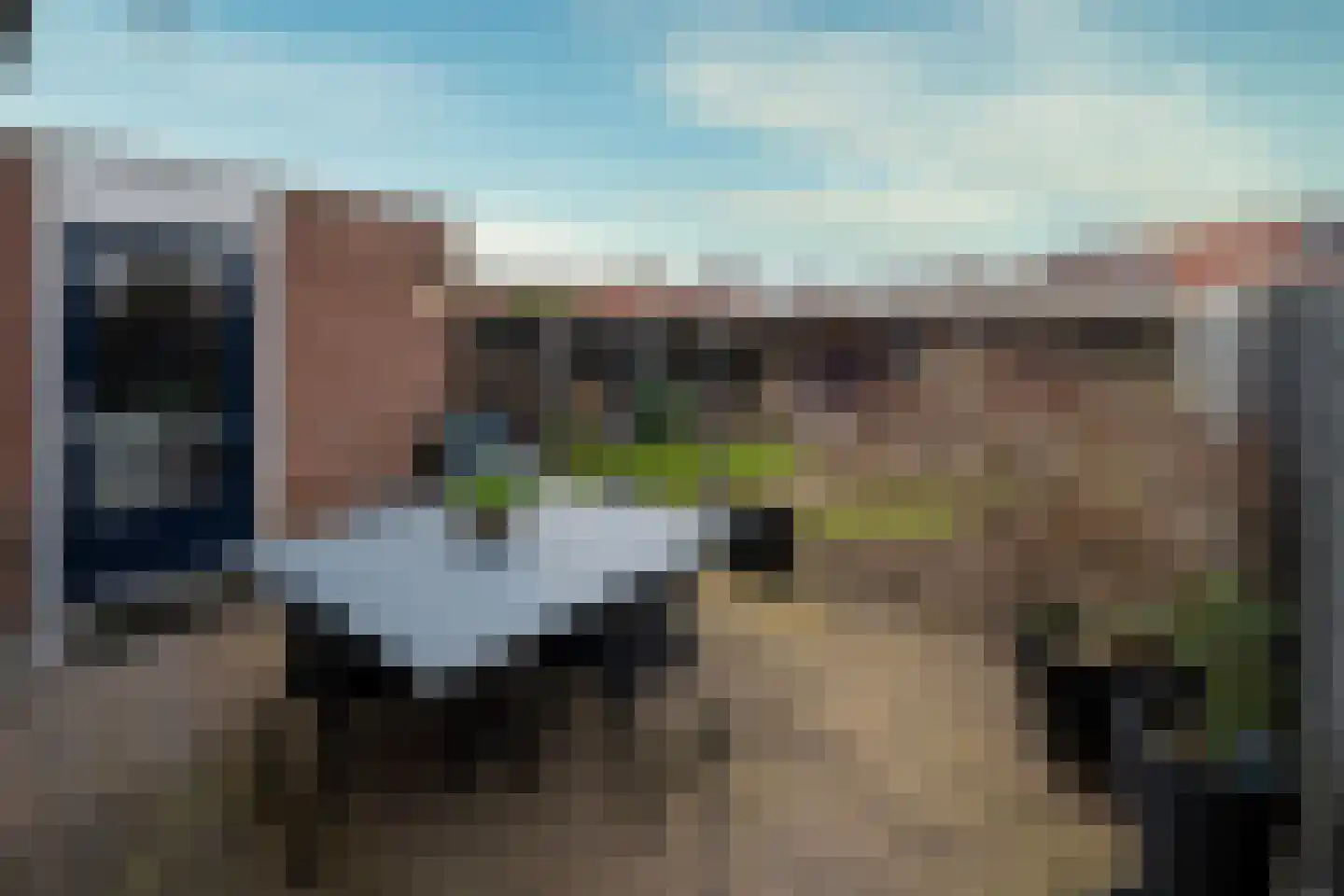 Libelkleuven 23 Assen thumbnail 19
