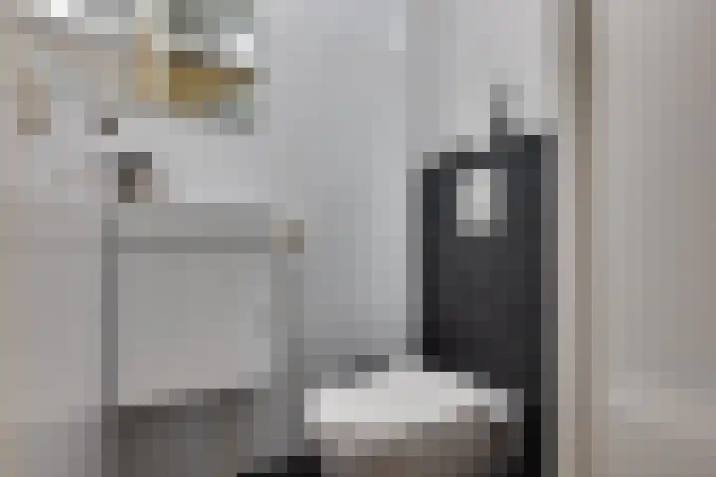 Libelkleuven 23 Assen thumbnail 8